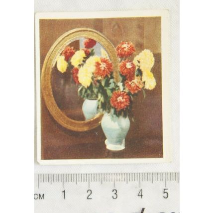 1937 Godfrey Phillips Flower Studies No. 25