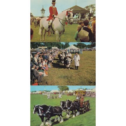 In The Ring Yorkshire Show Farmers 3x 1970s Postcard s