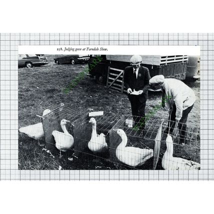 Farndale Show - 1970s Cutting