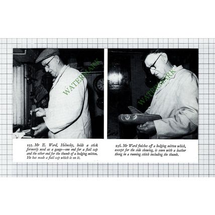 Mr E Ward Helmsley - 1970s Cutting