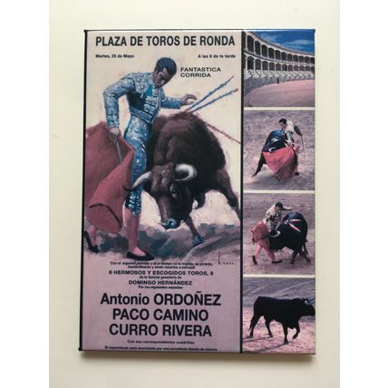 FRIDGE MAGNET -BULL FIGHTING