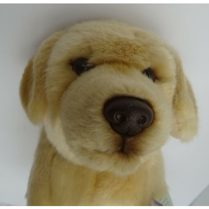 Golden Labrador toy dog, as it is, personalised, gift wrapped 3 choices