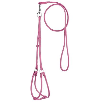 Dog Pet Leather Round Step-In Harness/Lead W1/4" x G11"-15" x L48"- Pink