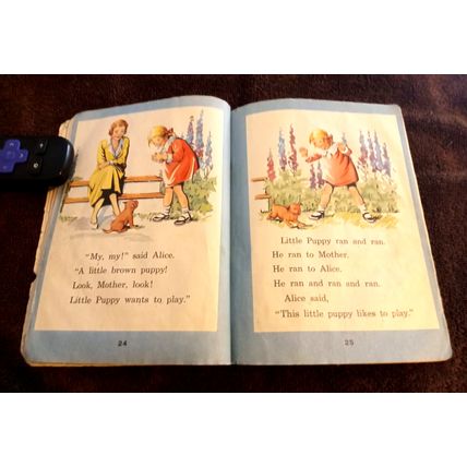 Rides And Slides By Mabel O'Donnell & Alice Carey 1941 Paperback Good Shape
