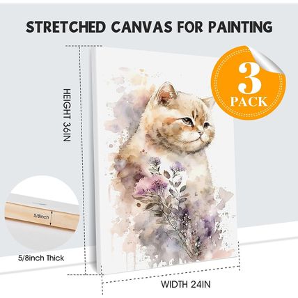 ESRICH Stretched Canvas for Painting 24X36 Inch, 3Pack Large Canvas for Painting