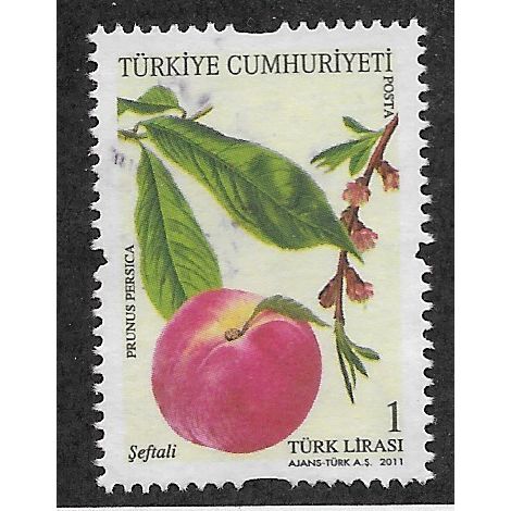 TKY 2011 1YTL 'FRUITING TREES' FINE USED (EBID53-168)