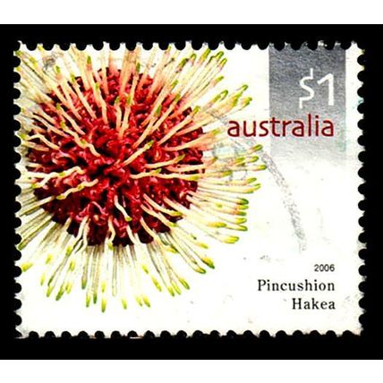 Australia 2006 Flower Hakea $1.00 Used Stamp.
