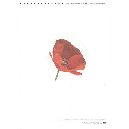 Mi 6025 DP: Doc. philatélique: 80th Anniversary of the Charity 'Bluet de France.
