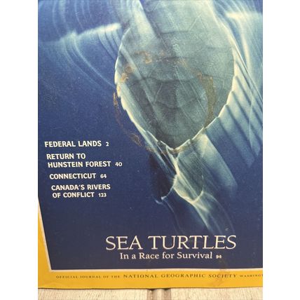 National Geographic Magazine February 1994 Sea Turtles - Vintage Collectable
