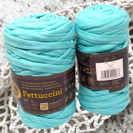 Lion Brand Fettuccini Yarn Bundle of 2 Aqua Blue 21.8oz Lot #60b