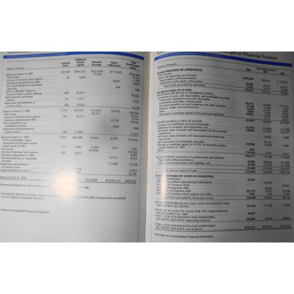 Annual Report 1988, Computer Associates International, Inc.