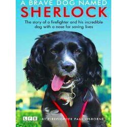 A Brave Dog Named Sherlock