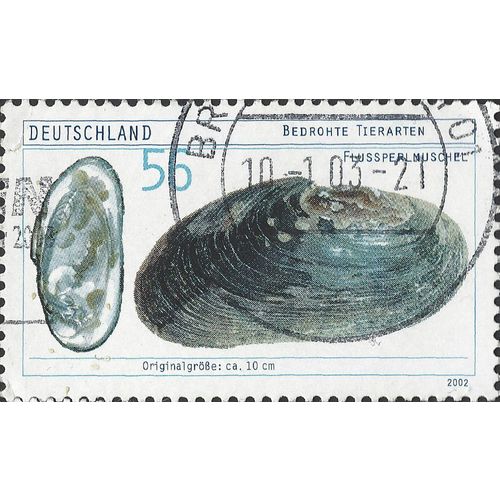 GERMANY, Freshwater Pearl Mussel, white 2002, 0.56 euro