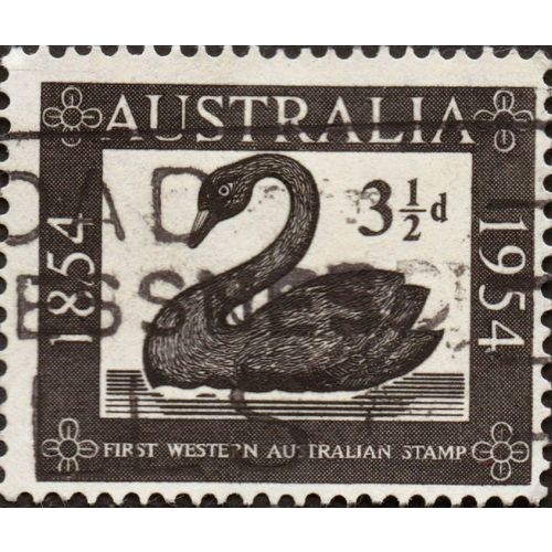 AUSTRALIA, BIRDS, Black Swan, Western Australia 1954-1954, 3½d