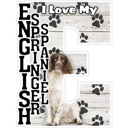 I Love My English Springer Spaniel Fridge Magnet