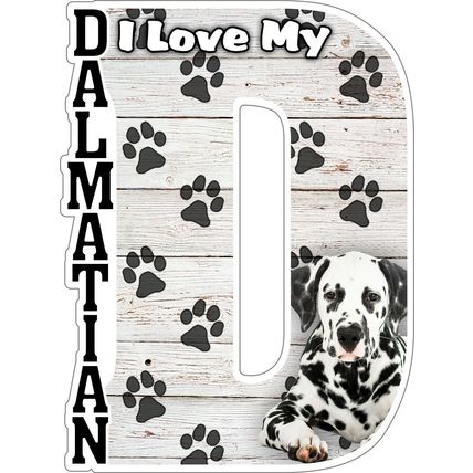 I Love My Dalmatian Fridge Magnet