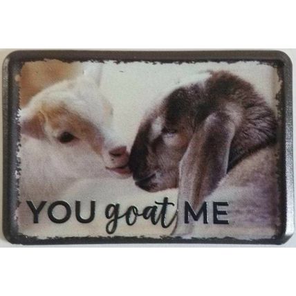 You Goat Me Metal Fridge Magnet