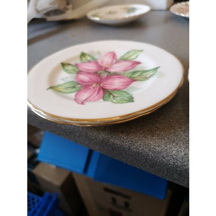 Royal Stafford Pink Trillium 1 Saucer 2 Tea/Side Plates