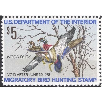 RW41, Wood Duck Federal Duck Stamp VF OG NH - Stuart Katz