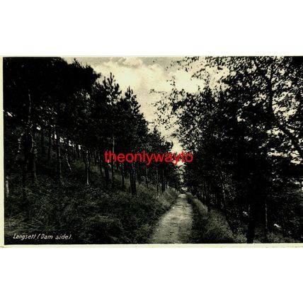 Llangsett Reservoir, Dam Side, Yorkshire, England, RP Postcard