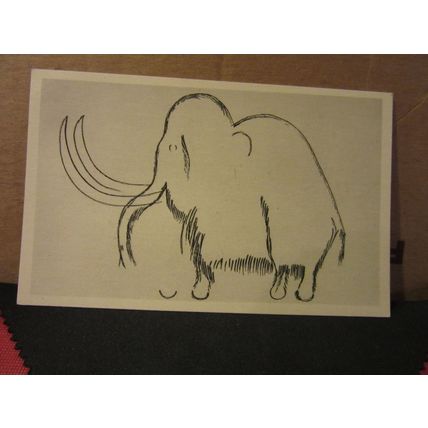 GROTTE DE FONT DE GAUME, FRANCE unused postcard cave paintings mammoth