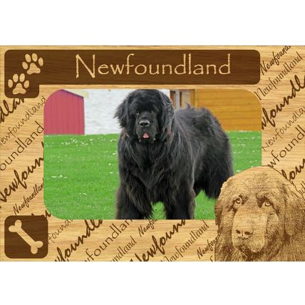 Newfoundland w Paws Engraved Wood Picture Frame Magnet