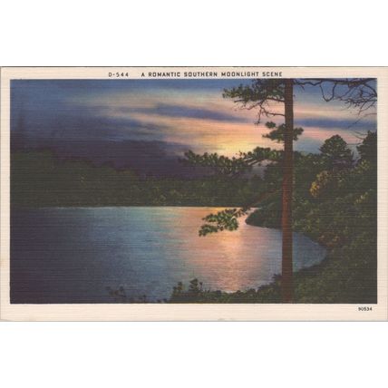 ZAYIX Postcard Romantic Southern Moonlight Scene Linen Divided Back 102022-PC41