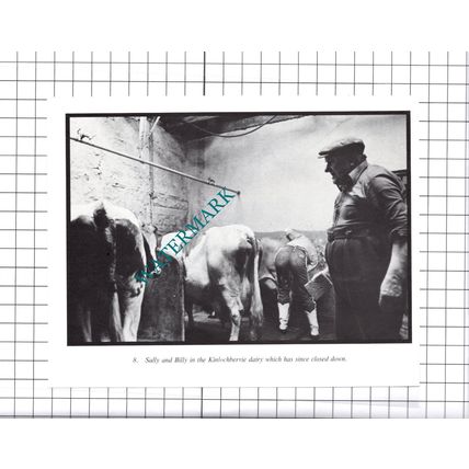 Kinlochbervie Dairy - 1980's Cutting / Print