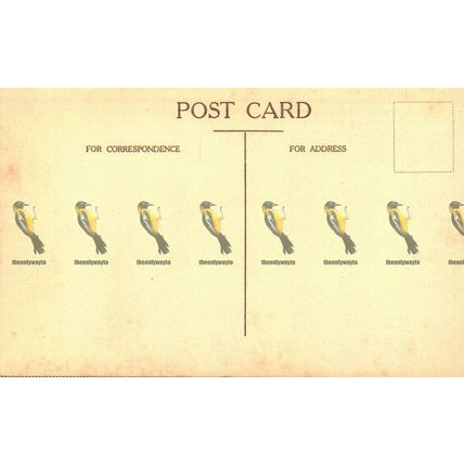 Stoke Poges, 'The Lowing Herd Wind Slowly Over The Lee', Postcard