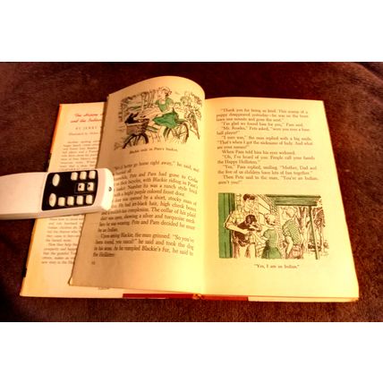 The Happy Hollister's And The Indian Treasure By Jerry West W/Dustjacket 1953