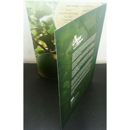 Malaysia Citrus 2018 Fruits Pomelo Plant (folder) *limited