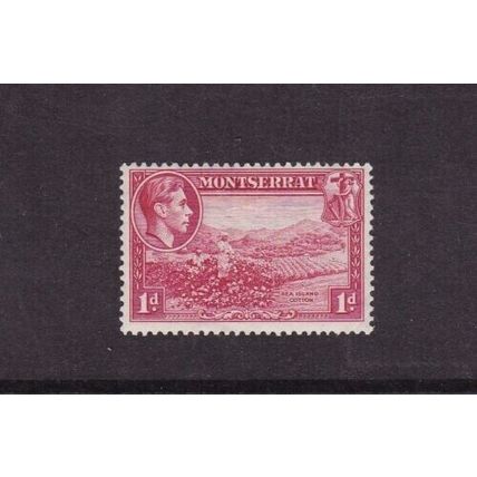 Montserrat 1938 Sea Island Cotton 1d Mint Hung SG102 VGC