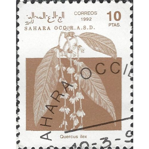 WESTERN SAHARA, FLOWER, Quercus Ilex, brown 1992, 10pta