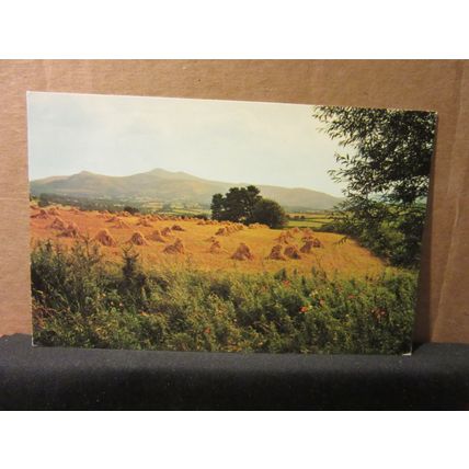 BEACONS FROM CRUG HILL, BRECON, WALES . unused vintage postcard, #