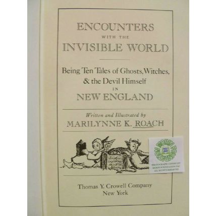 ENCOUNTERS WITH THE INVISIBLE WORLD BEING TEN TALES of GHOSTS MARILYNNE K ROACH