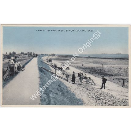 PPC Shell Beach looking East Canvey Island nr Southend Essex 1958 Lockhart