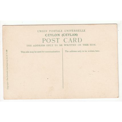 A Young Ayah Ceylon Postcard