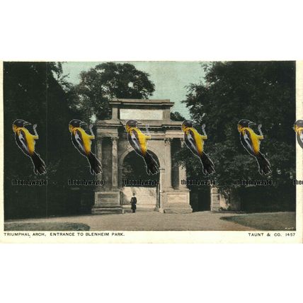 Triumphal Arch, Entrance to Blenheim Palace, Oxon, Taunt Postcard 1900s