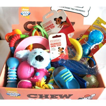 15 SMALL DOG TOYS FOR EXTRA SMALL & SMALL DOGS & PUPPIES IDEAL FOR SMALL MOUTHS