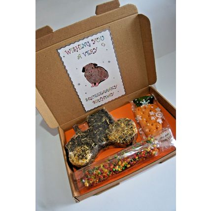GUINEA PIG BIRTHDAY BOX DECORATED BOX WITH TRACTOR CARROT & HONEY BAR TREATS