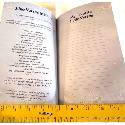 ICB Frost Bible by Tommy Nelson Hardcover International Children's Bible