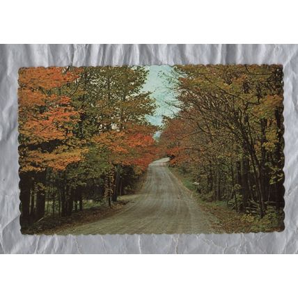 East Shore Road, Grand Isle, Vermont - Postally Used - Amherst September 1983
