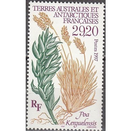 TAAF 1997 Michel 367 Neuf ** Cote (2005) 14.00 € Flora Poa kerguelensis