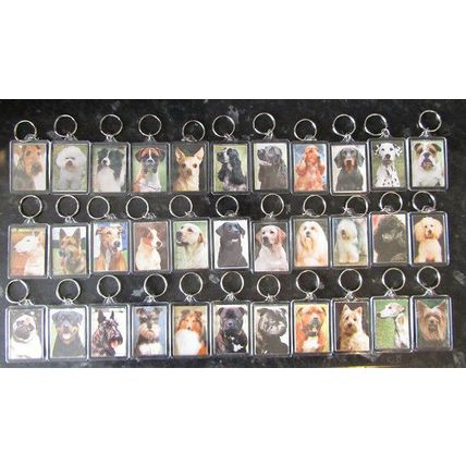 DOG BREED KEY RINGS QUALITY ACRYLIC DOUBLE SIDED PHOTO KEY RINGS 33 BREEDS