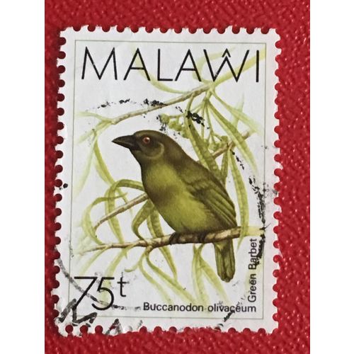 Malawi 1988 Birds 75t Green Barbet Used SG 800 Sc 529 postage stamp