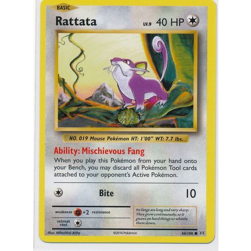 Pokemon XY Evolutions 66/108 Rattata