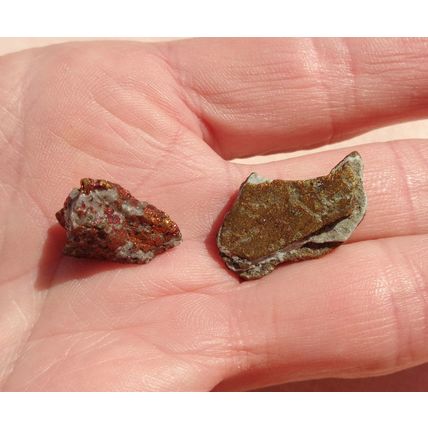 B Peacock Ore Raw Bornite 2 Pieces Metalphysical Gridding Meditation