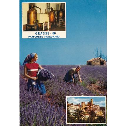Grasse Perfumerie Fragonard Women Picking Flowers For Perfume French Postcard