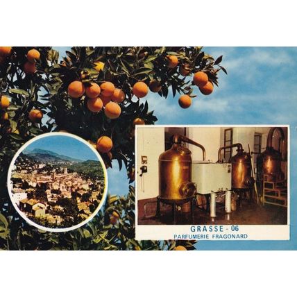 Machinery At Grasse Fragonard Perfumerie Factory French Postcard