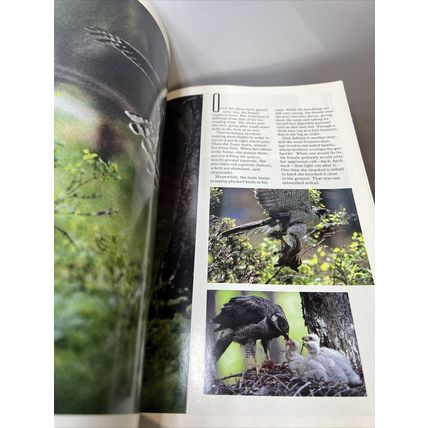National Geographic Magazine July 1994 Recycling - Vintage Collectable p2